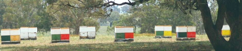 Bindaree Bee Supplies
