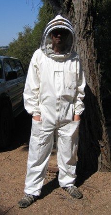 Standard bee suit